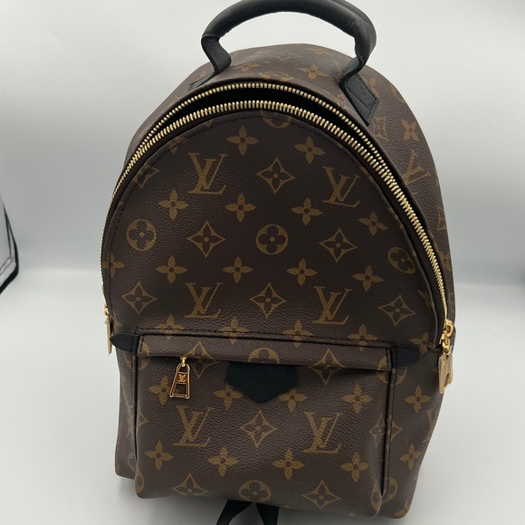 Louis Vuitton Plams Springs PM Backpack - Picture 1 of 16